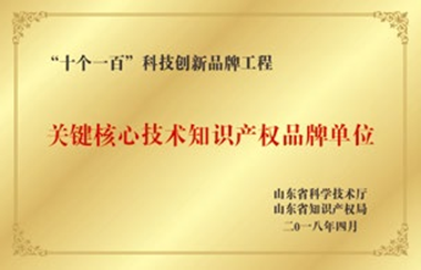 关键核心技术知识产权品牌单位